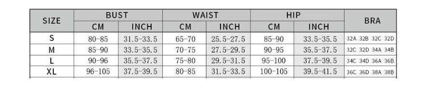 Alcione Swimsuit With Leopard Print Bikini Set