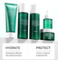 Snow Grass Skincare Set