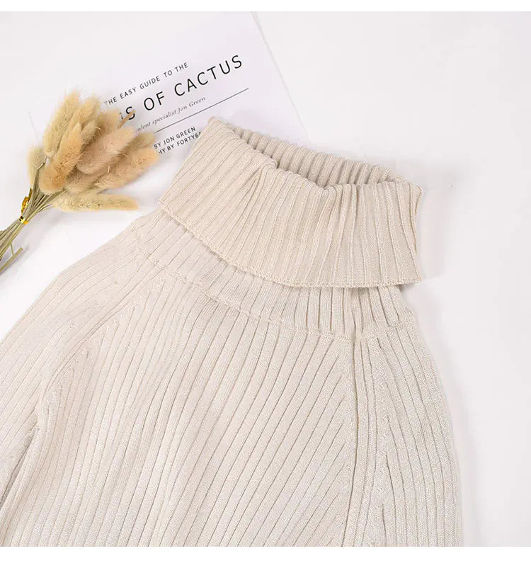 Women's Korean Style Knit Dress