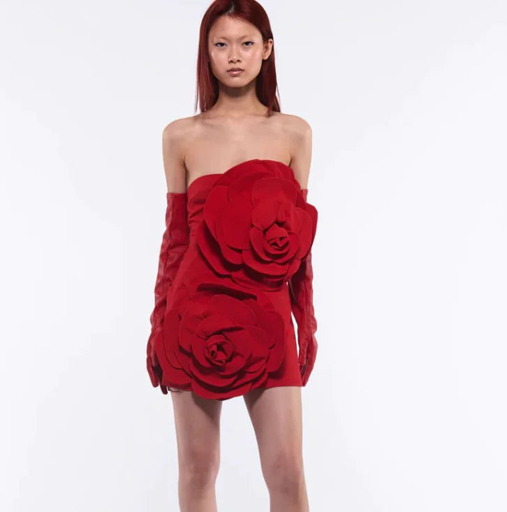 Women's Red Tube Dress