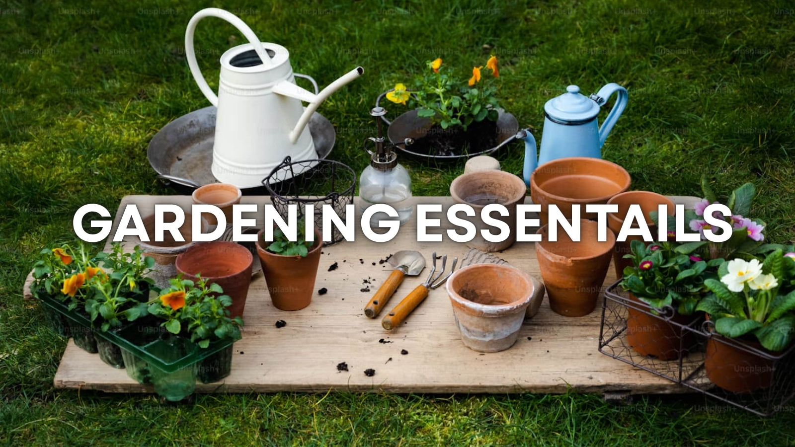 Elevate Your Green Space: The Best Gardening Accessories You Need