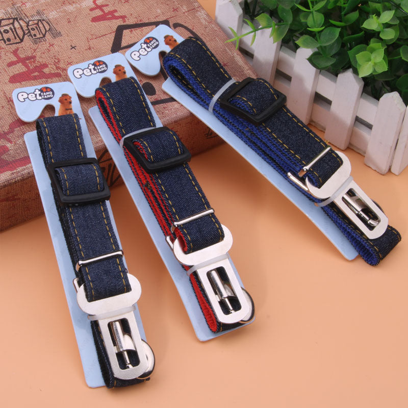 Retractable Safety Leash for Pets - Cowboy Style
