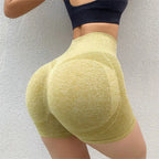 Women's Seamless Activewear Gym Yoga Sports Shorts