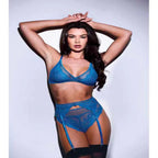 Baci 3 Piece Lace & Mesh Bra Garter & Panty Set Queen Baci