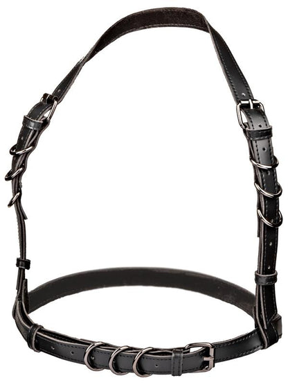 Euphoria Collection Halter Buckle Harness CalExotics