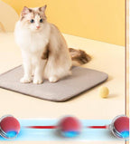 Cat Toys (One Piece)