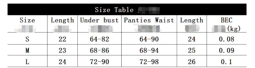 Women's Floral Embroidered Lingerie Set