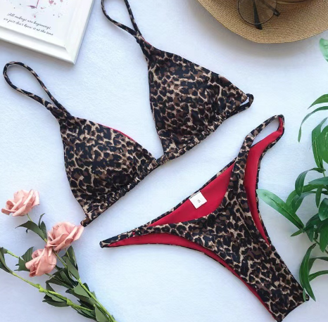 Women's Luxury Summer Leopard Print Bikini Set