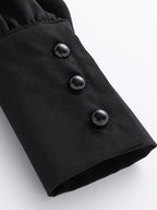 Women's Pleated Stand Collar Chiffon Shirt Women's Tops & T-shirt Unbranded