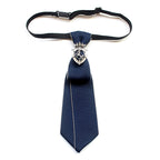 Men's Bow Tie & Fashionable Unisex Tie Accessory 6x21cm