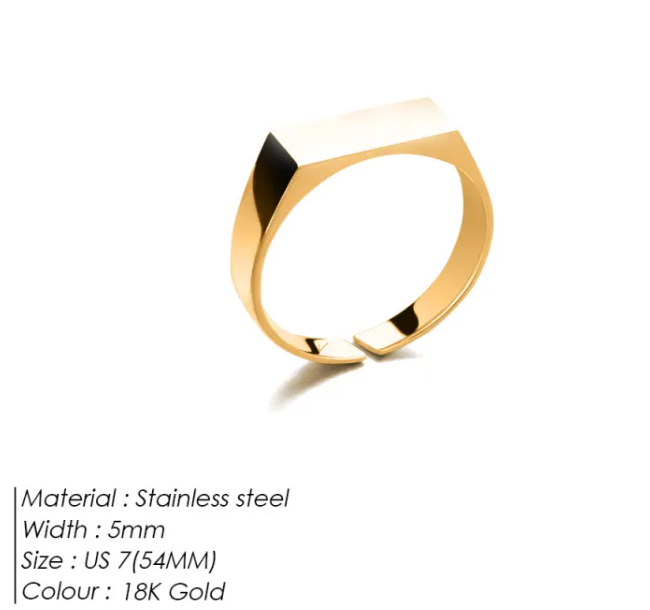 Men's Stainless Steel Ring
