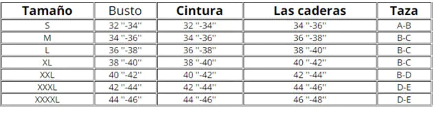 Women's High Elastic Nylon Triangle Bikini