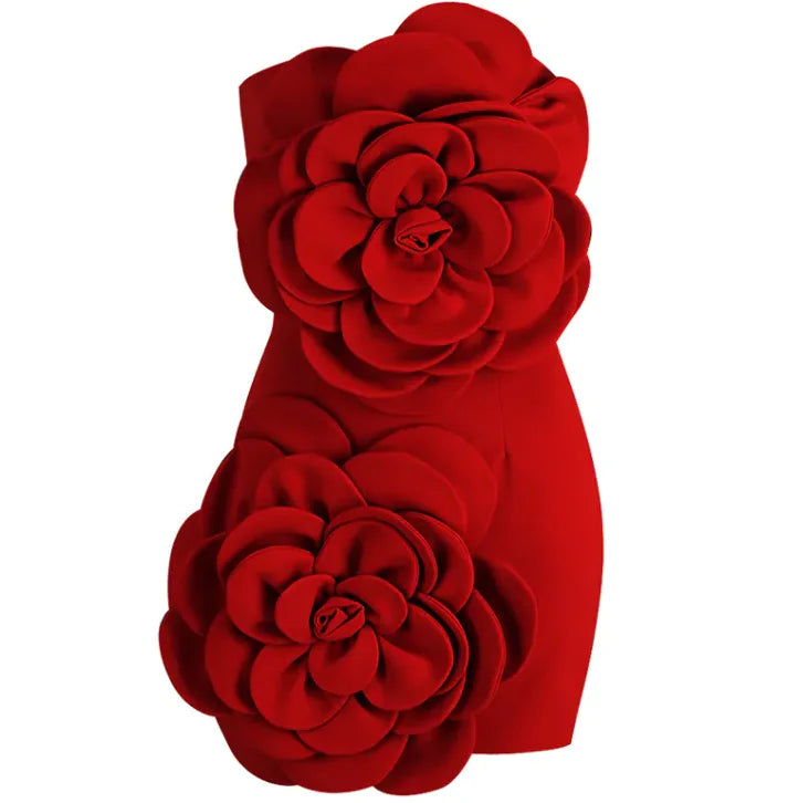 Women's Red Tube Dress