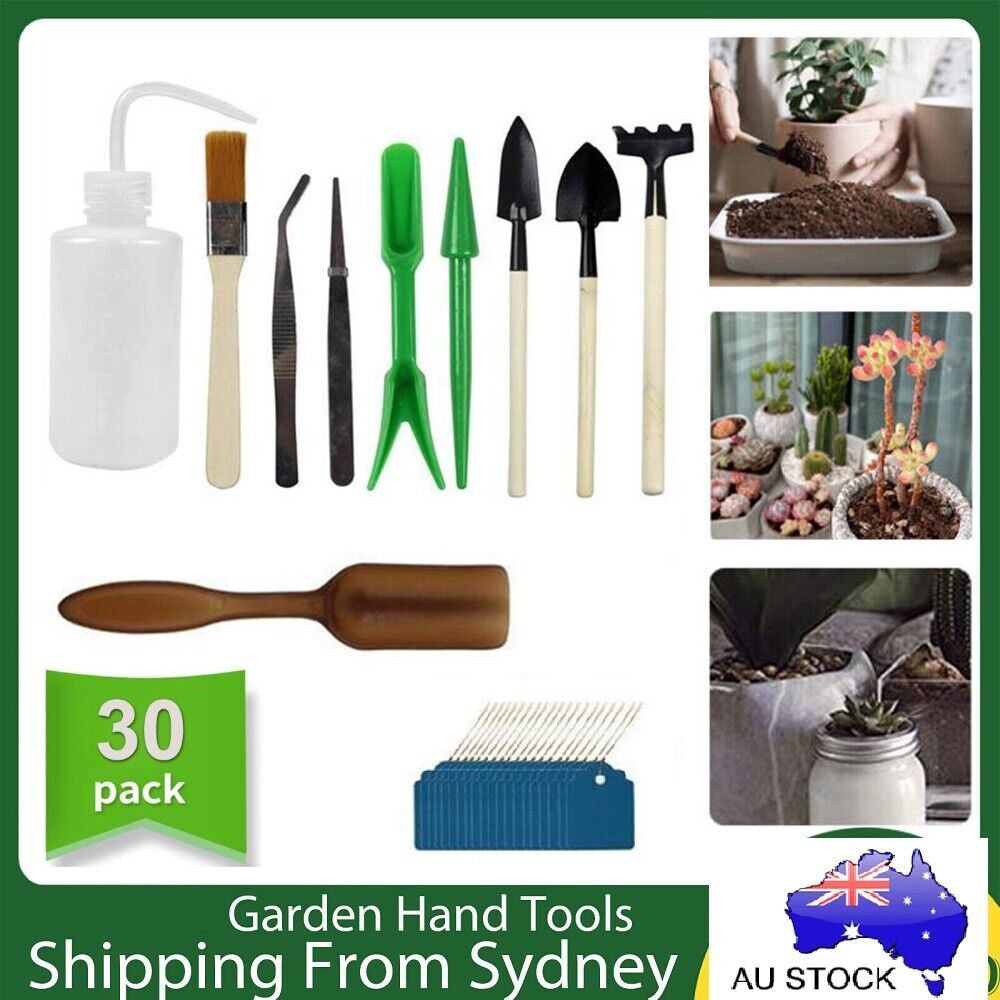 30X Mini Garden Hand Tools Transplanting Succulent Plant Gardening Tool Rake Set Main image
