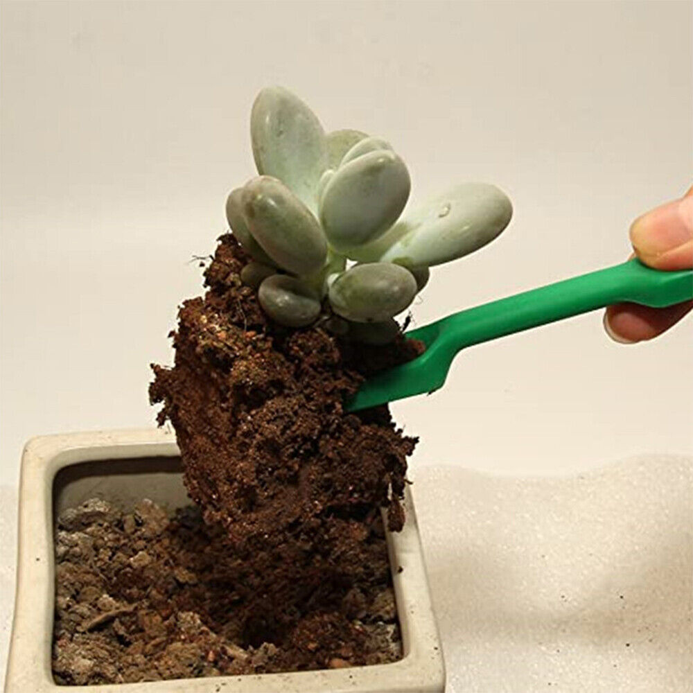30X Mini Garden Hand Tools Transplanting Succulent Plant Gardening Tool Rake Set Secondary image