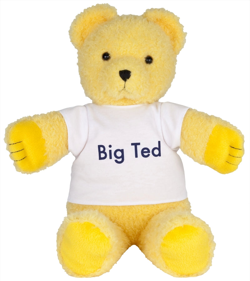 Play School - Big Ted Plush Main image