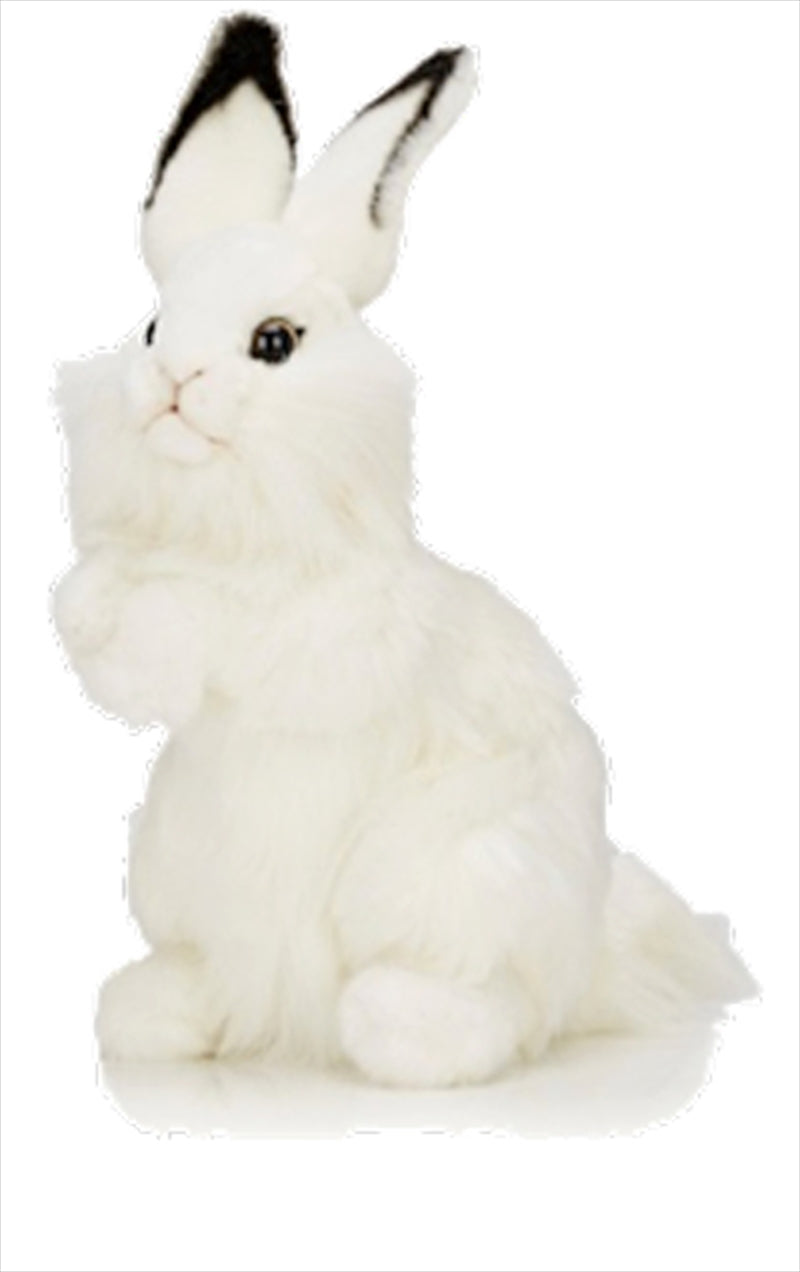 White Rabbit 32cm H Main image