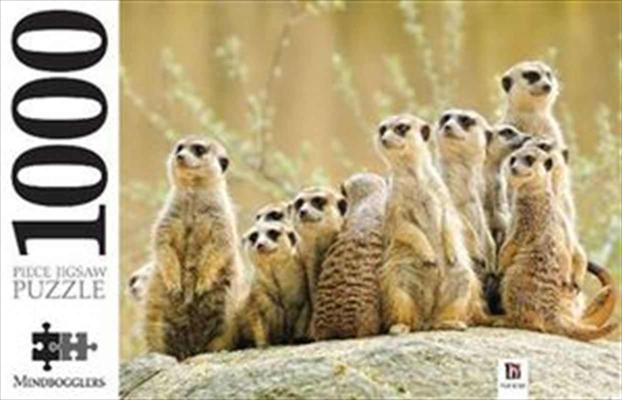Meerkat Family 1000 Piece Puzzle Main image