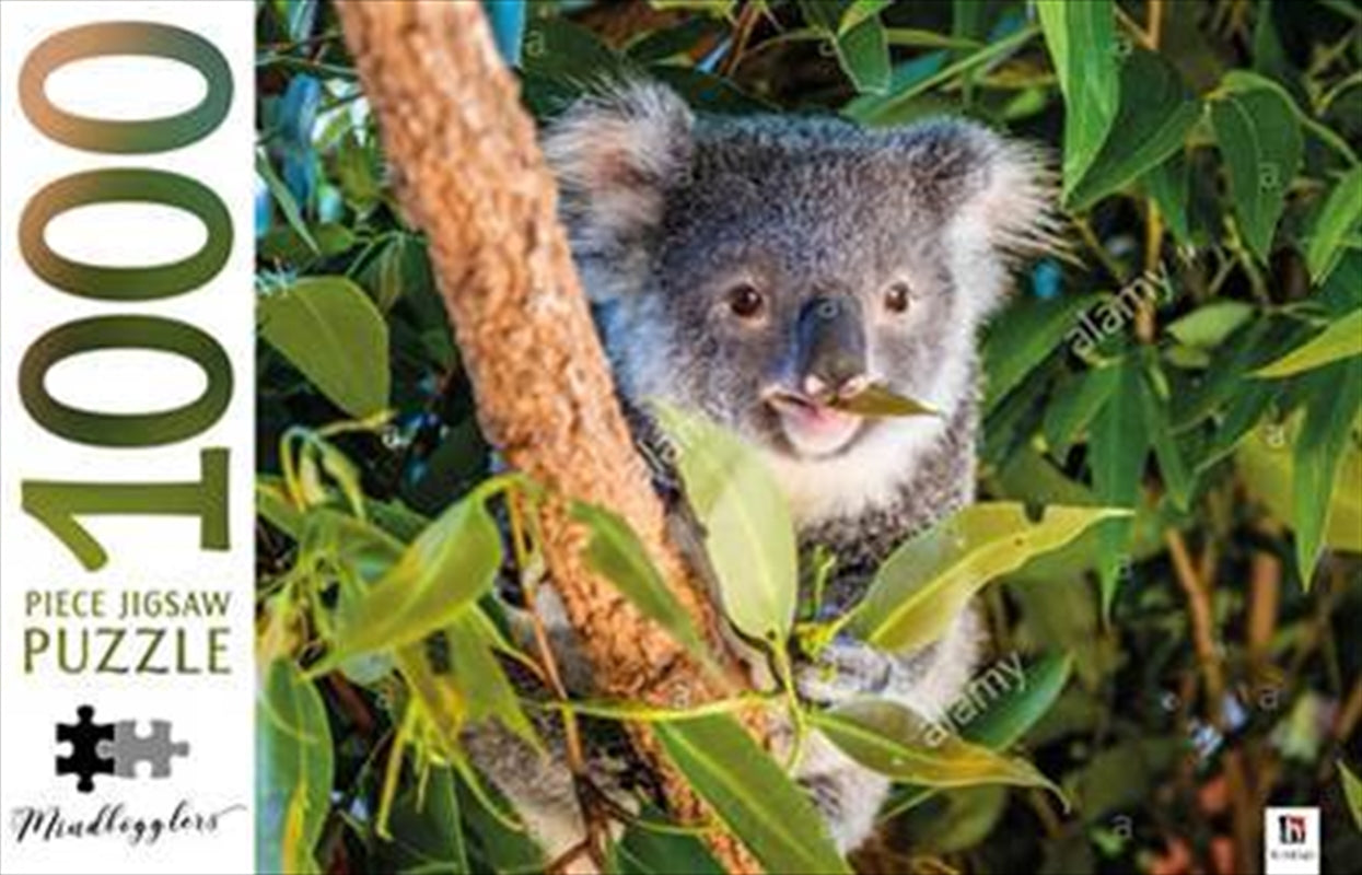 Koala Australia - Mindbogglers 1000 Piece Puzzle Main image
