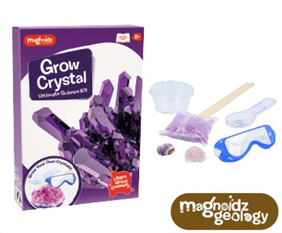 Magnoidz Crystal Growing Kit Main image