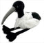Bazza The Bin Chicken 18cm Plush