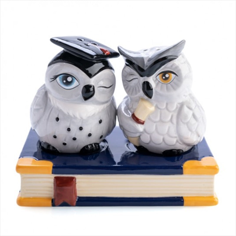 Owl Salt and Pepper Set Main image