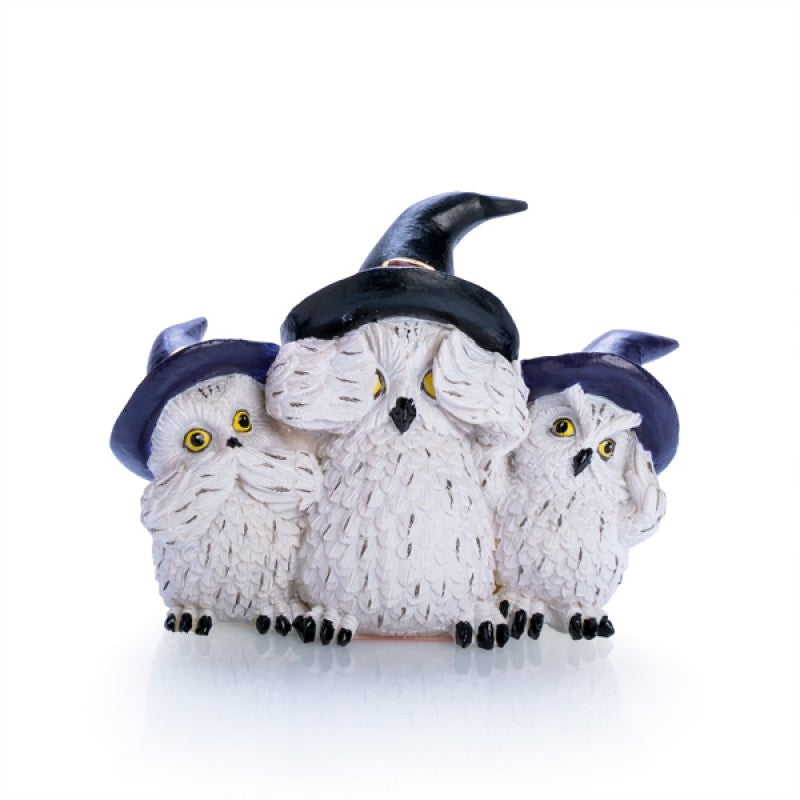 3 Wise Snowy Owls Main image