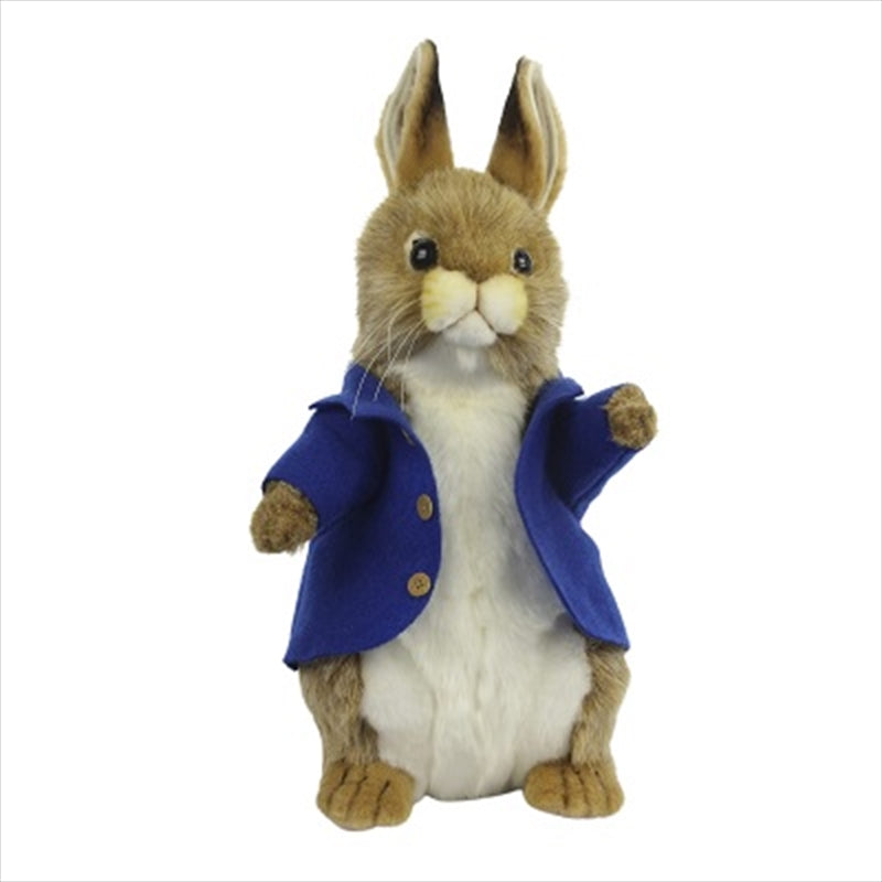 Bunny Male Plush 35cm Main image