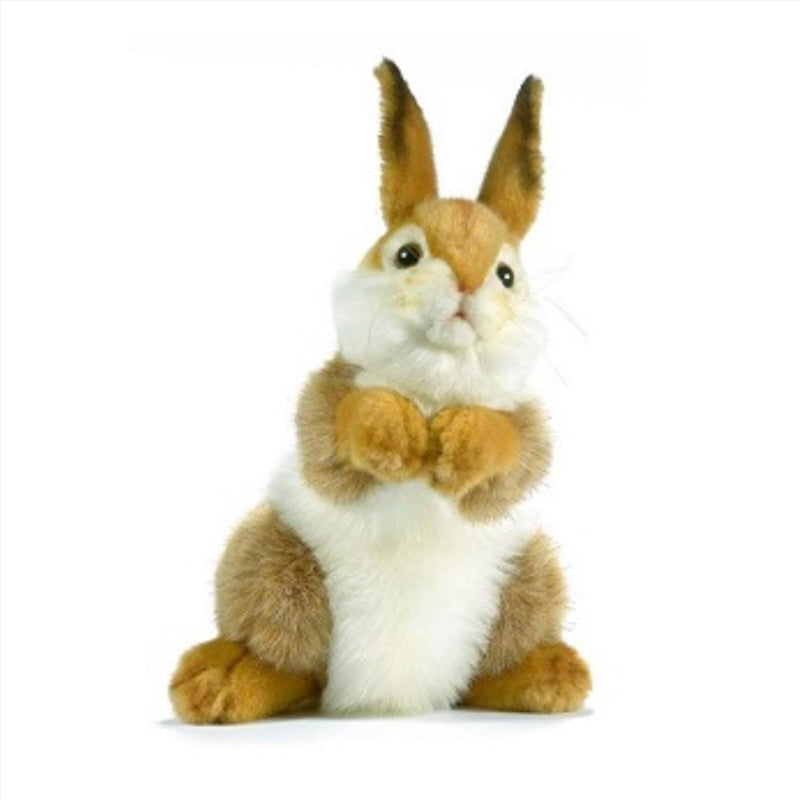 Bunny Plush 30cm Main image
