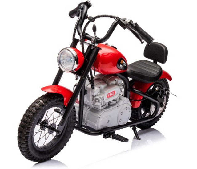 Single Rider Cruiser Bike 36V Main image