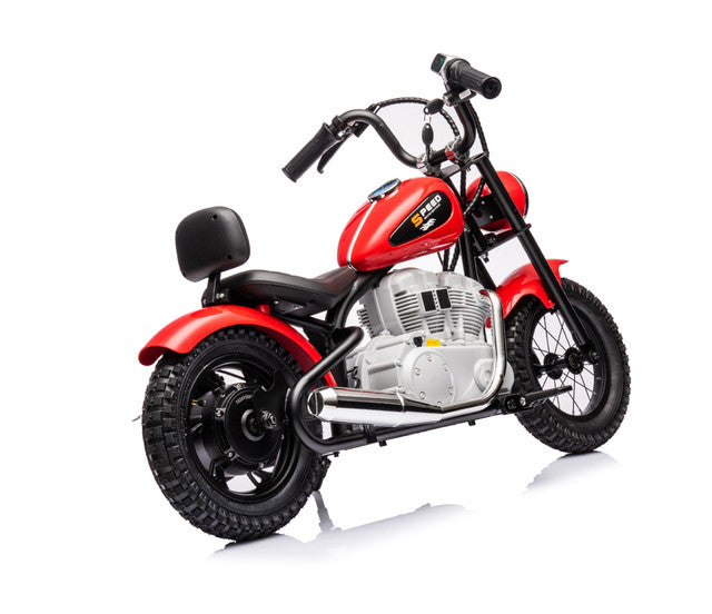 Single Rider Cruiser Bike 36V Secondary image