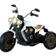 3 Wheels Motorcycle Main image