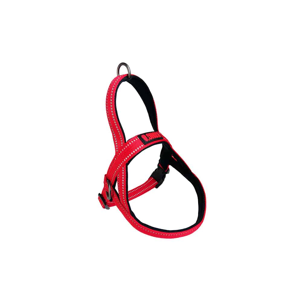 KONG Norwegian Red Harness Large Main image