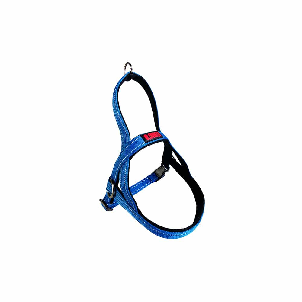 KONG Norwegian Blue Harness Extra Large Main image