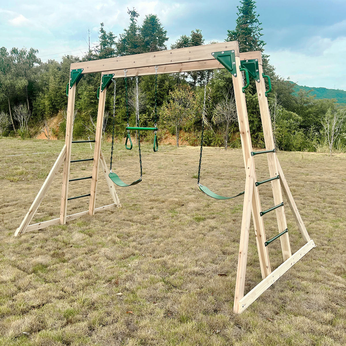 Lifespan Kids Daintree 2-in-1 Monkey Bars & Swing Set Secondary image