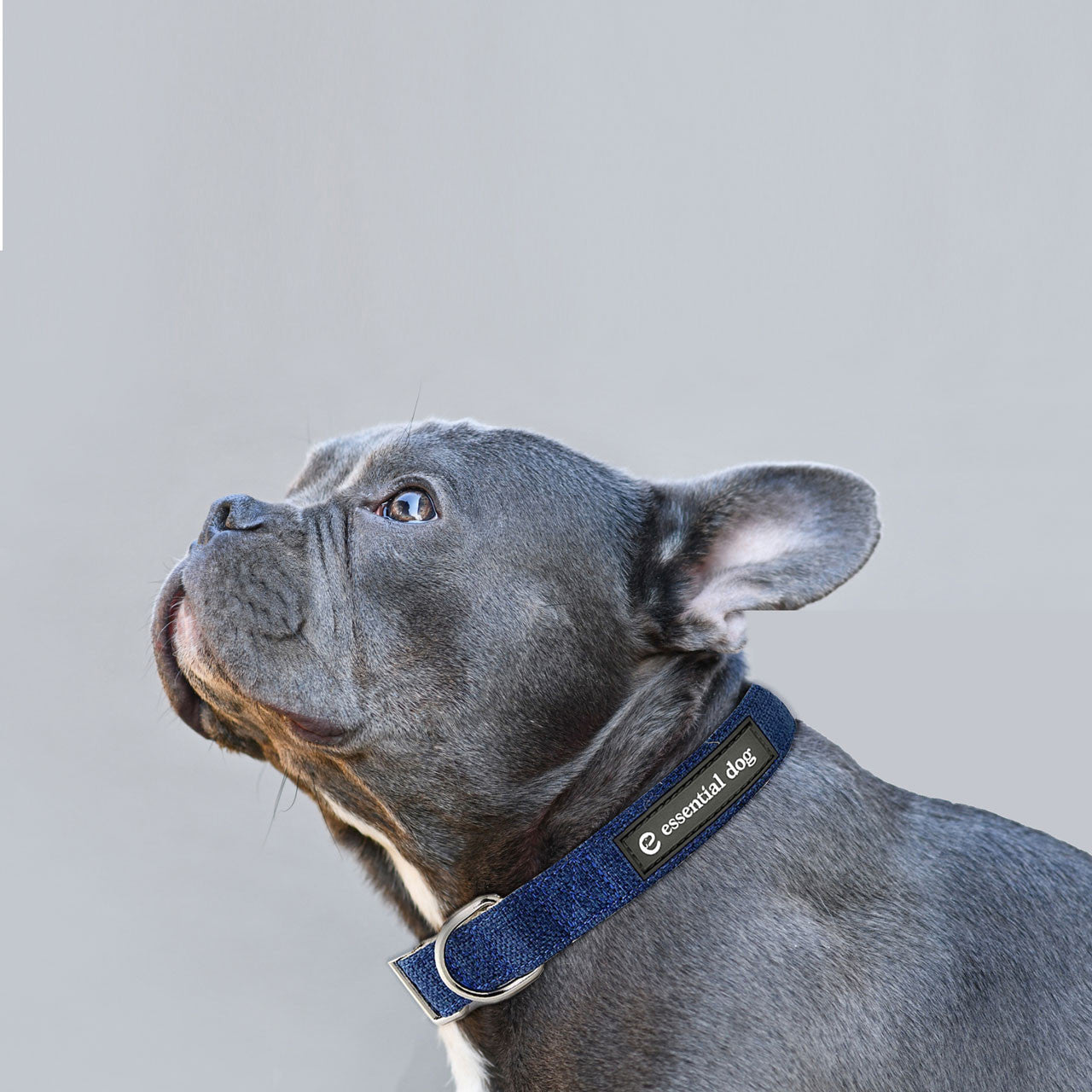 Natural Hemp & Cotton Dog Collar (Ink Blue) Secondary image