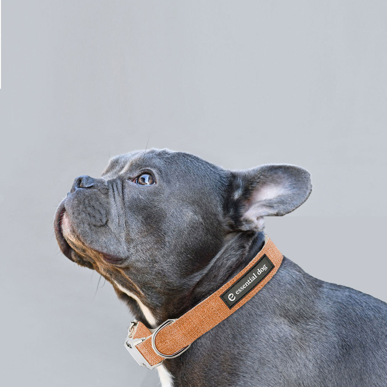 Natural Hemp & Cotton Dog Collar (Orange Burst) Secondary image