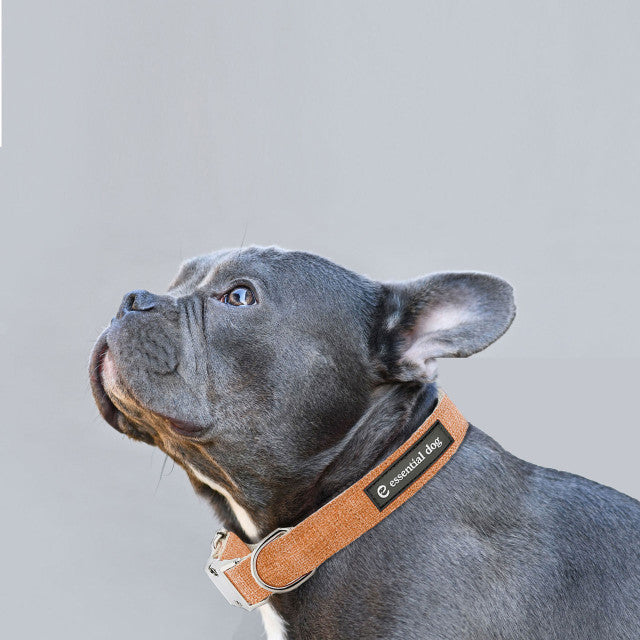 Natural Hemp & Cotton Dog Collar (Orange Burst) Secondary image