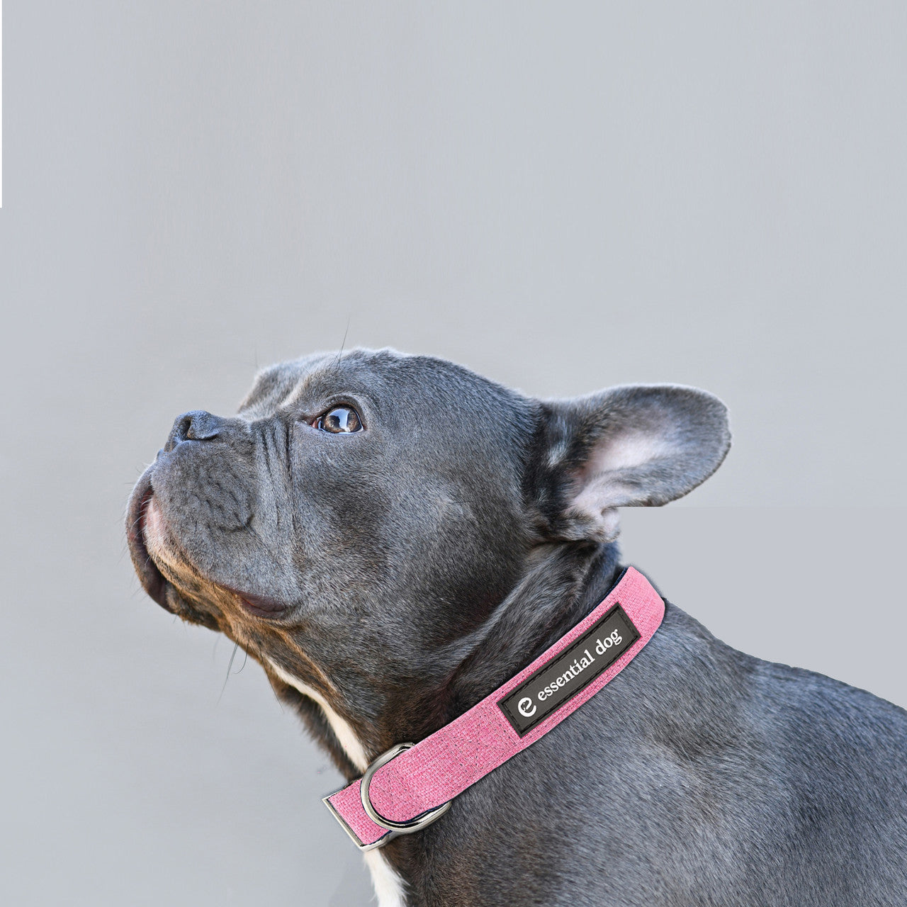 Natural Hemp & Cotton Dog Collar (Pretty Pink) MEDIUM Secondary image