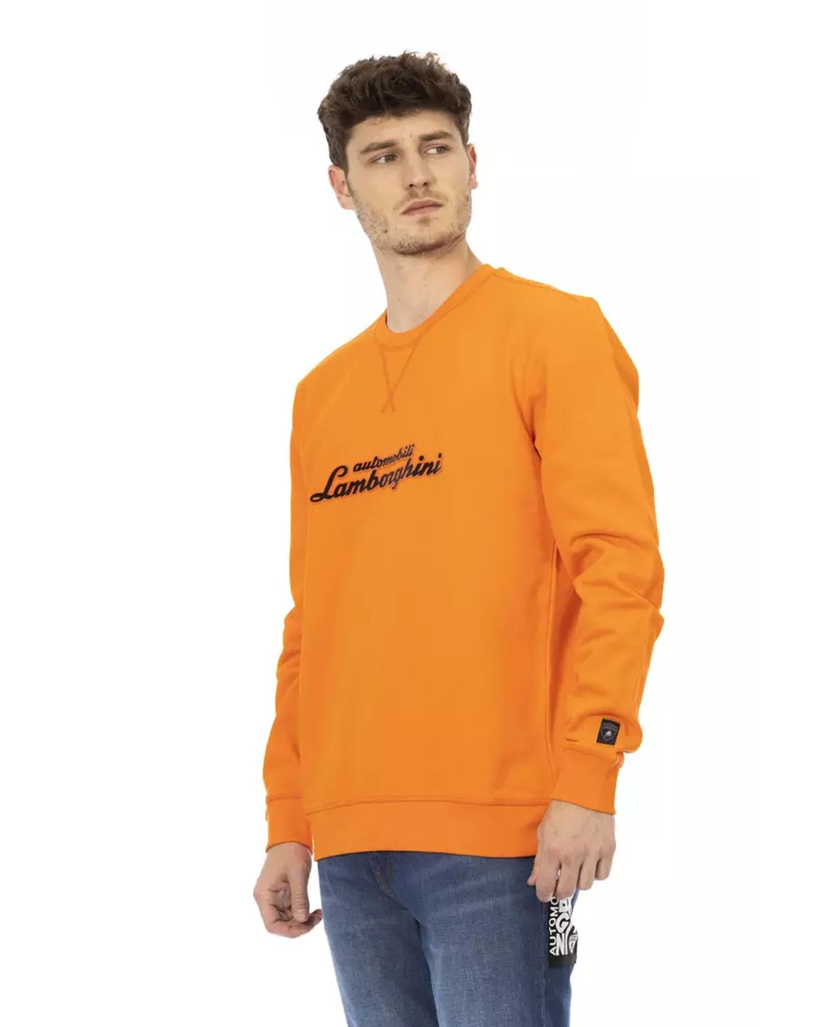 Front Print Crewneck Sweatshirt with Logo Sleeve Insert L Men Secondary image