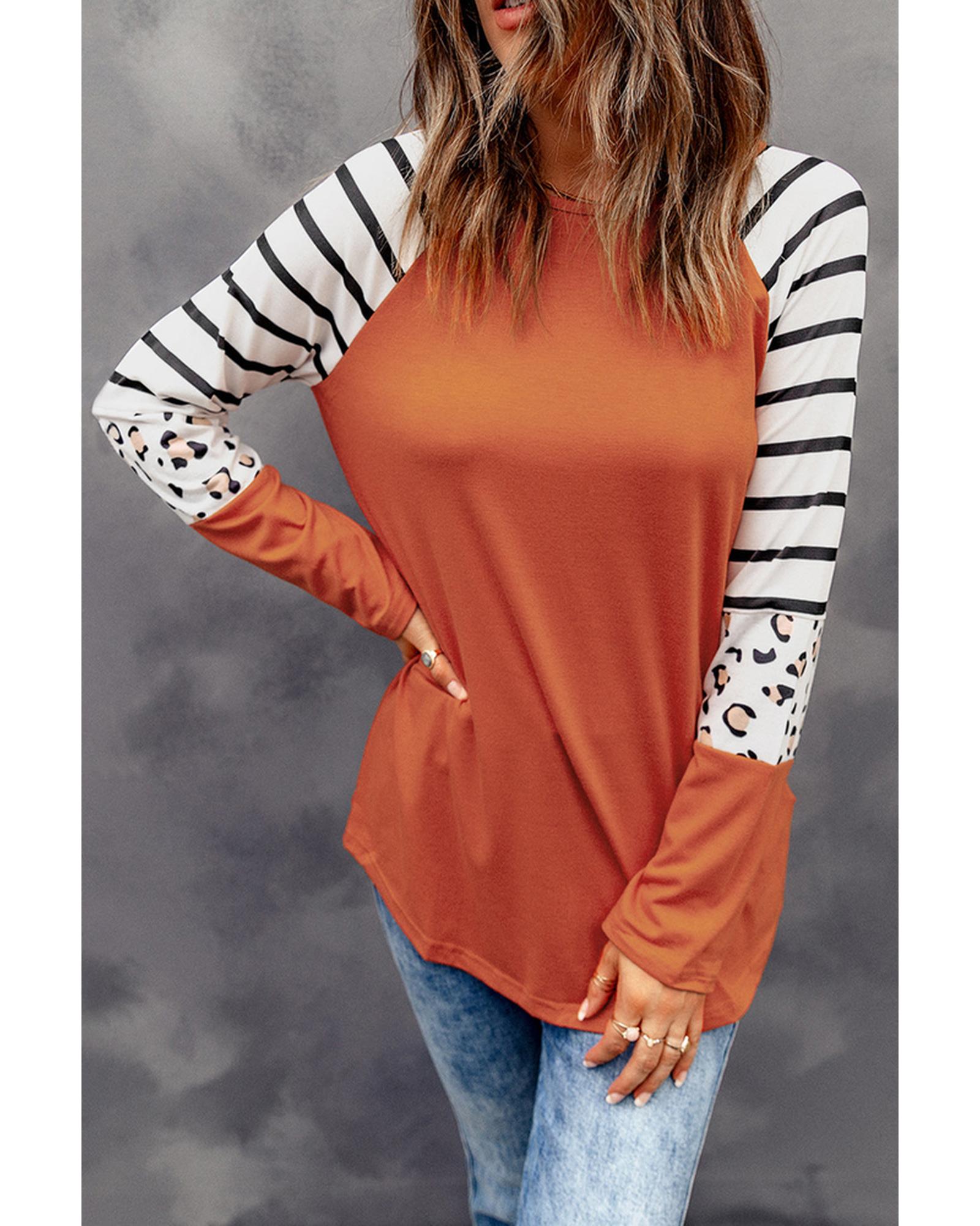 Azura Exchange Animal Print Long Sleeve Top with Striped Colorblock - S Main image