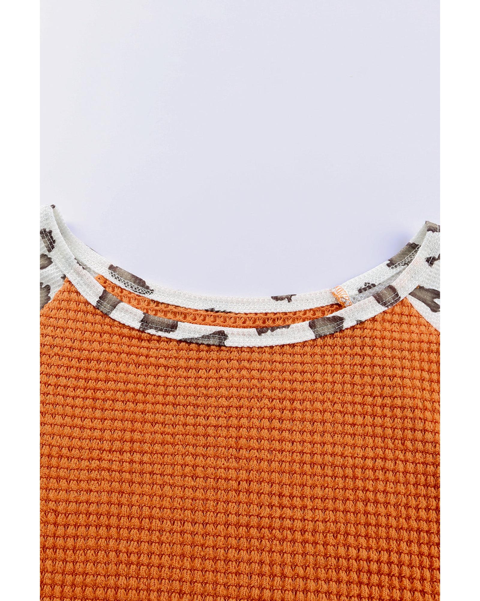 Azura Exchange Leopard Colorblock Top - XL