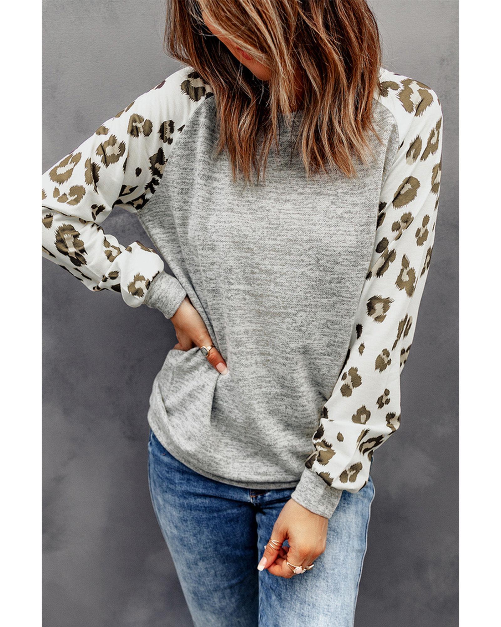 Azura Exchange Leopard Print Long Sleeve Top - L Main image
