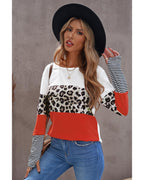 Azura Exchange Leopard Colorblock Long Sleeve Top - S