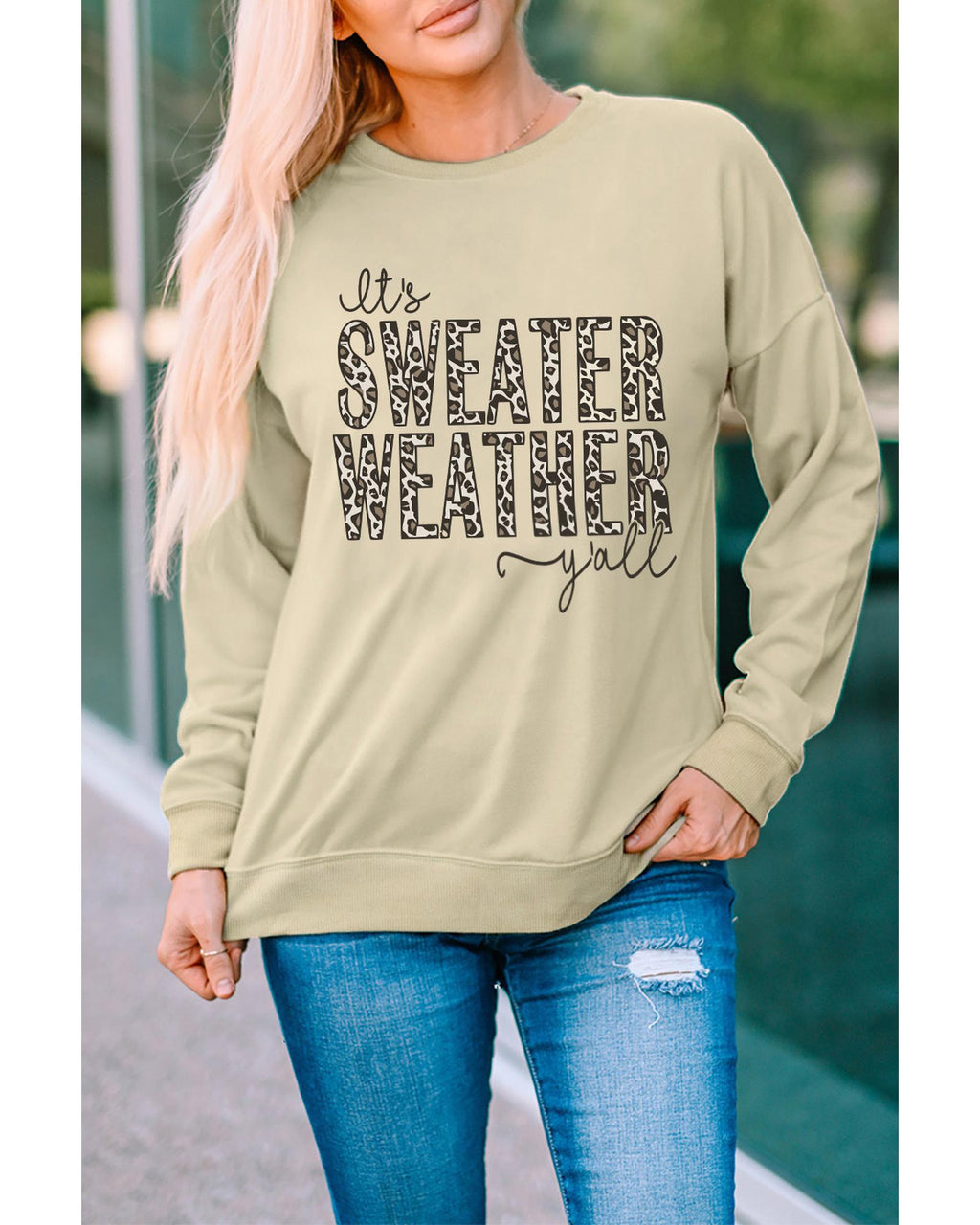Azura Exchange Leopard Print Pullover Sweatshirt - XL
