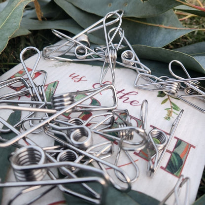 Stainless Steel Clothes 32pcs