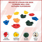 Deluxe 10 x Holds for Rock Climbing Wall Kids Outdoor Playground