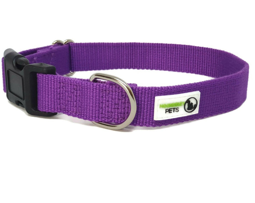 100% Pure Bamboo Fibre Dog Collar Plastic Buckle - Moondidley Pets X-Small Purple Secondary image