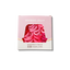 MANGO JELLY Metal Free Hair Ties (3cm) - Just Pink 36P - Three Pack
