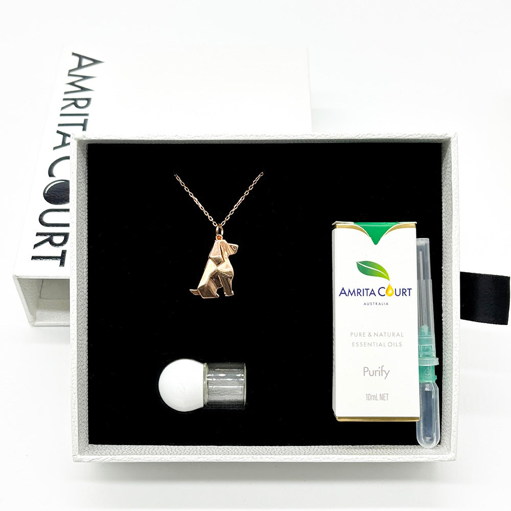 Gift Box - Dog Rose Gold Aroma Necklace + Purify Oil Blend Main image
